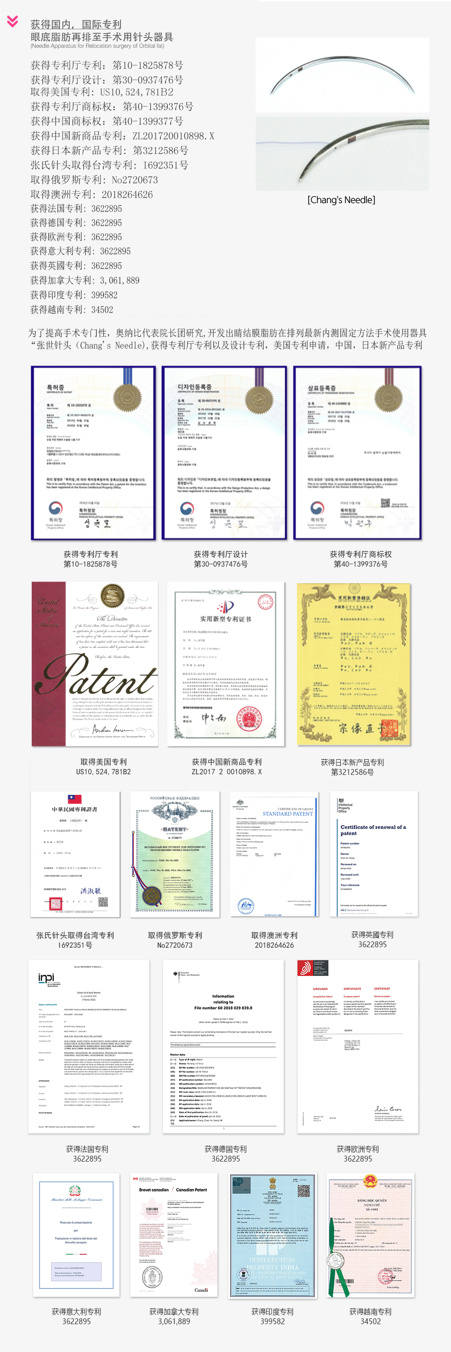 Domestic & International Patent